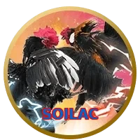 SOILAC